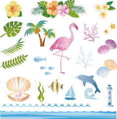夏　鳥　花　海　貝　自然　南国　トロピカル　水彩　イラスト素材セット
