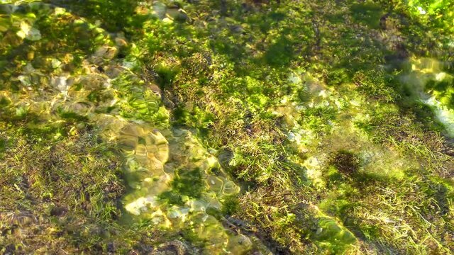 Acqua di mare in movimento