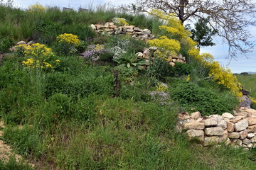 Trockenmauer für Insekten und Kleintiere