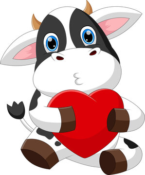 cute little cow cartoon holding heart love 