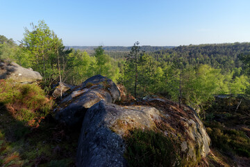 Mount pivot view in the 25 bumps circuit of the fontainebleau