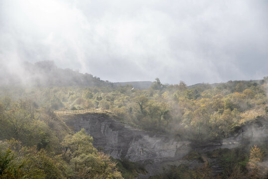 Beautiful view of a forest on the rock with fog on it