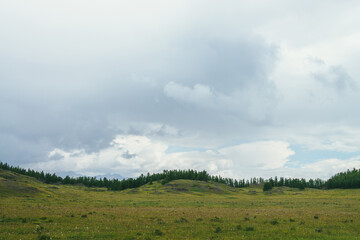 Obraz premium Beautiful green scenery with forest edge on hills under cloudy sky. Atmospheric landscape with forest hills and silhouettes of mountains on horizon in cloudy sky. Cloudiness weather in mountains.