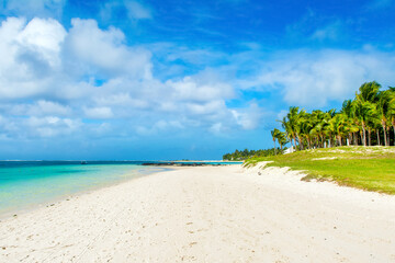 Beautiful summer landscape of the tropical coast