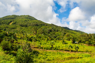 Landscape of Casela National Park in Mauritius island