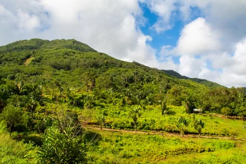 Photo sur Aluminium Le Morne, Maurice Landscape of Casela National Park in Mauritius island