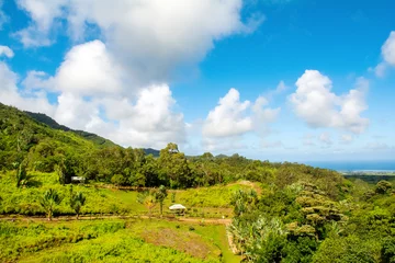Cercles muraux Le Morne, Maurice Landscape of Casela National Park in Mauritius island