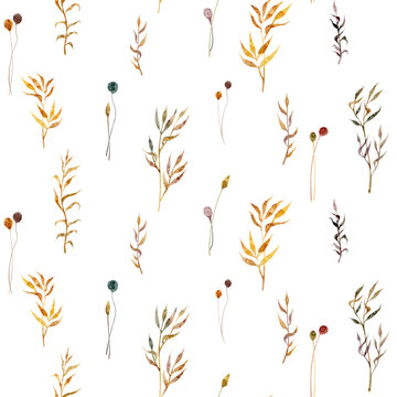 Seamless watercolor floral pattern with wheat spikelets, simple flowers and other dry grass hand drawn on a white background