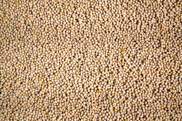 yellow peas on the background. yellow peas wallpaper for food background.