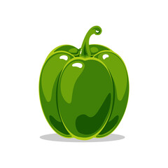 Green bell pepper. Healthy nutrition. Vector illustration of vegetables.