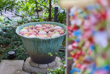 日本の景色と花々／Japanese landscape and flowers.