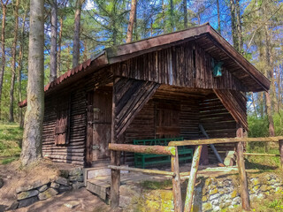 wooden house in the woods