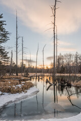 Snow and trees and rivers under the setting sun in Changbai Mountain, Jilin, China in winter 