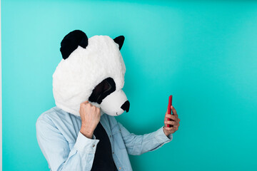 Happy man in panda mask reading good news on mobile phone