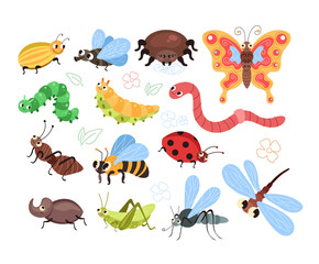 Beetles insects caterpillars worm ant spider butterfly mosquito bee isolated set. Vector flat modern style graphic design cartoon illustration