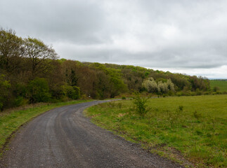 Fototapeta na wymiar a grey stone track winds up through green tree lined English countryside under a moody dark cloud sky