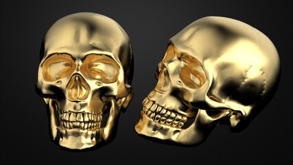 human skull, golden human skull model on dark background 3d render