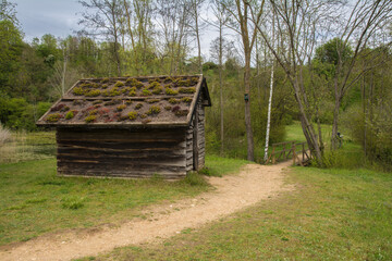 Fototapete bei efototapeten.de bestellen   