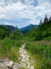 Fototapeta na wymiar Beautiful view in the Tatra Mountains