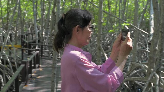Holiday concept of 4k Resolution. Asian old woman taking pictures of nature view in mangrove forest.