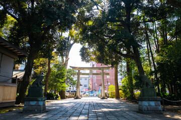 東京都 吉祥寺 武蔵野八幡宮 参道と鳥居