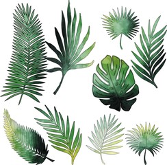 Fototapeta na wymiar watercolor palm leaves, palm leaves, seamless background with leaves, palm leaves pattern, set of palm leaves