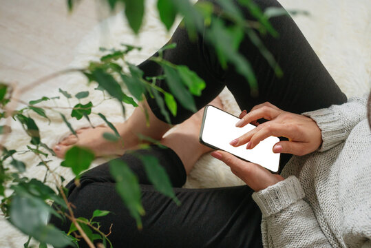 A woman at home, with a phone in her hands. Copyspace