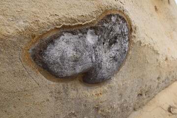 Scripts Sandstone Despots Being Eroded Away b the Ocean  in Carlsbad and Exposing Deposited Igneous...