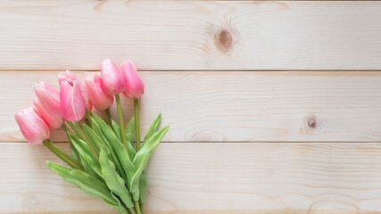 Tilip spring flower background with beautiful pink tulip on white wood backdrop for seasonal and mothers day holiday card greeting celebration wallpaper