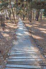 Snow, trees and trestles in changbai Mountain, Jilin, China, at sunset in winter