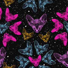 Sphynx cat, kittens. The flowers from heads cat on the background of the starry sky, space. Vector
