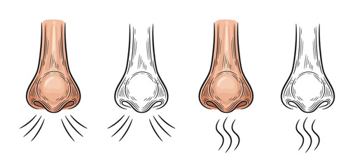 Nose inhale. Aroma smell icon. Nasal breathe. Organ of perceiving scent.  Concept inhalation of air, sniff odors, allergy, anosmia as coronavirus disease symptom. Cartoon and outline sign set. Vector 