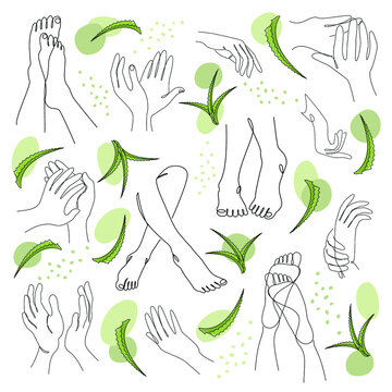 Collection. Silhouettes of human legs, hands and leaves of aloe vera in a modern style. Solid one line drawing, outline for decor, wall posters, stickers, logo. Set of vector illustrations.