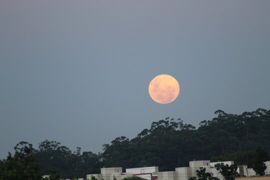 Lua Ga&uacute;cha Vermelha