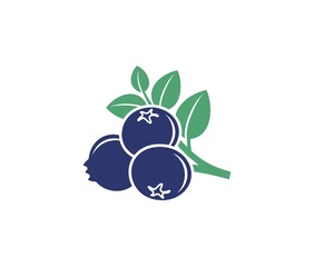 Blueberry logo. Isolated blueberry on white background