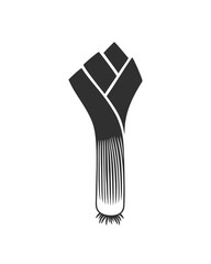 Leek logo.  Isolated leek on white background