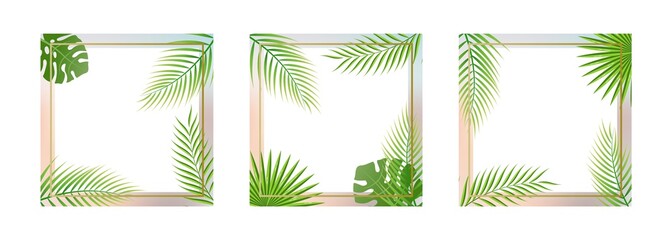 Set of tropical banner templates with palm leaves for social media, stories, advertisements, flyers.