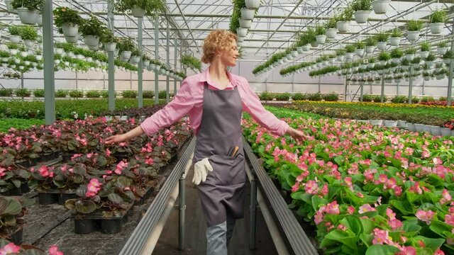 happy blonde florist gardener enjoys working in her greenhouse walking through flower saplings