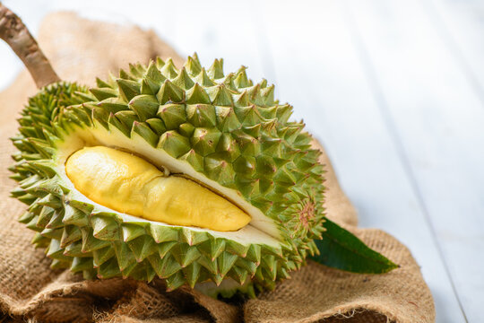 Chani Kai Durian or Durio zibthinus murray on sack,