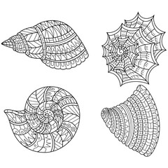 Hand drawn of shells set in zentangle style