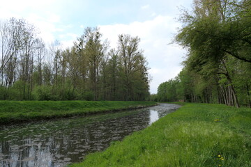River bend in the idyllic forest in spring.