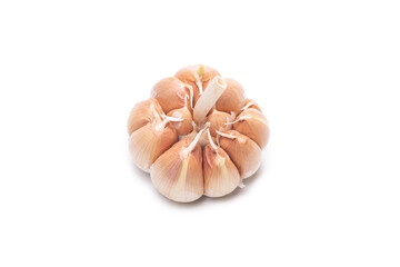 Garlic isolated on a white background.