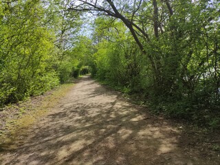 Fototapeta premium Parc du Patis Meaux
