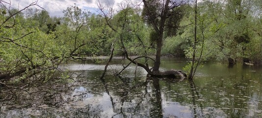 Parc du patis à MEAUX en Seine et Marne