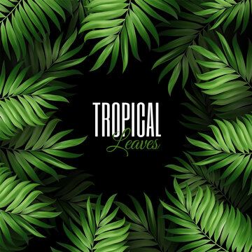 Summer botanical exotic pattern with green palm tropical leaves. vector design for banner or flyer with dark green and place for inscription text. Vector on black background.