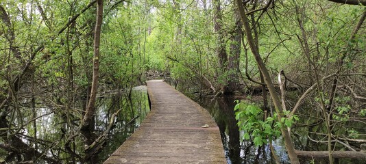 Parc du patis à MEAUX en Seine et Marne