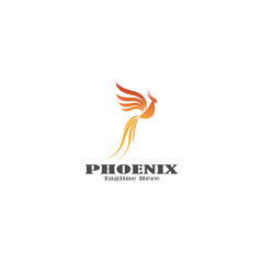 luxury phoenix logo vector. Creative Phoenix bird logo vector design illustration