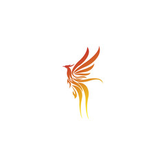 luxury phoenix logo vector. Creative Phoenix bird logo vector design illustration