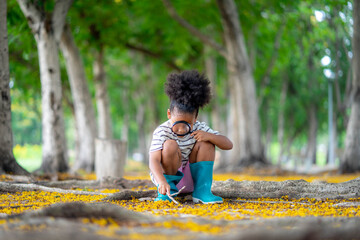 African little girl exploring in the woods and looking for insects, Child playing in the forest...