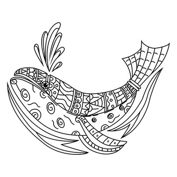 Hand drawn of whale in zentangle style
